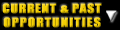Current & Past Opportunities